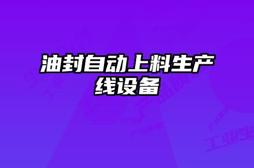 油封自動(dòng)上料生產(chǎn)線(xiàn)設(shè)備